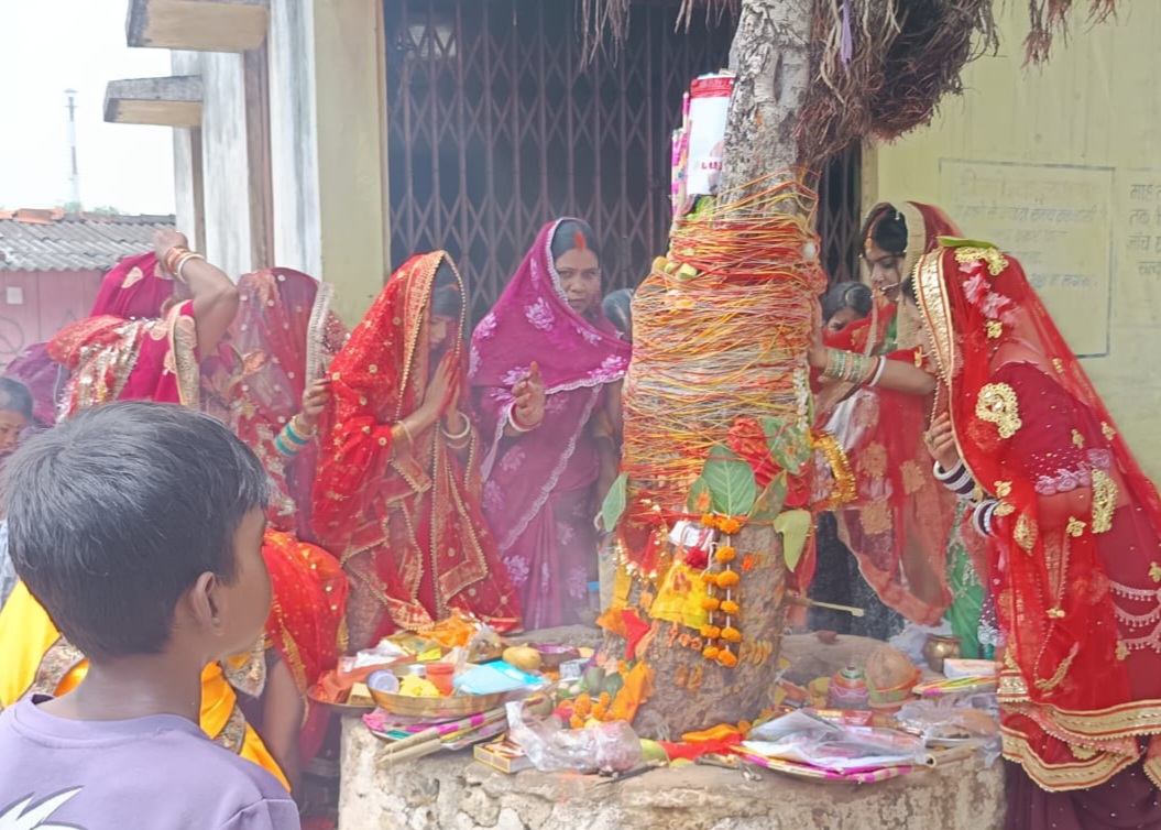 वार्ड 33 संतोषी पारा यादव मोहल्ला के वट वृक्ष के नीचे वार्ड 33 की महिलाओं के साथ वार्ड 34 शिवाजी नगर की महिलाओं ने एक साथ मिलकर की वट सावित्री पूजा  …